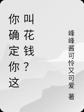 你确定你这叫花钱吗英语