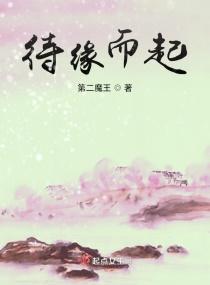 待缘而起txt