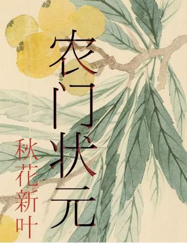 山的那边农门状元