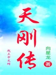 天刚传媒