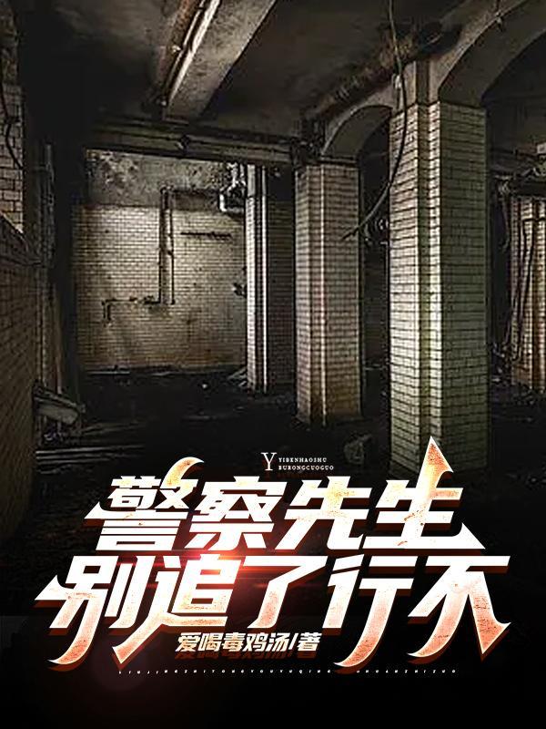 警察先生游戏