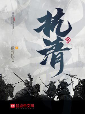 抗清无防盗