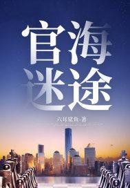 官海迷途叶建彬一