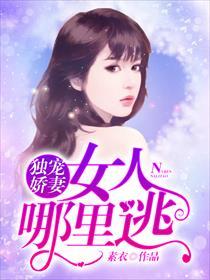 独宠娇妻女人