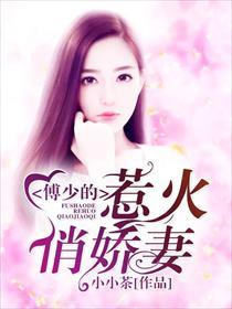 傅少的撩人小娇妻