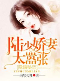 隐婚秘恋陆少娇妻太嚣张未删减
