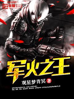 最强军火之王