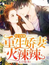 重生之名门宠妻txt
