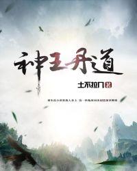 神王丹道修炼等级