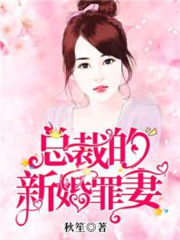 总裁的新婚罪妻原版