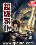 全职家丁