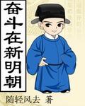 奋斗在新明朝txt奇书网