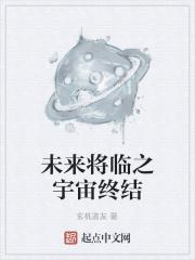 未来将临之宇宙终结 玄机道友