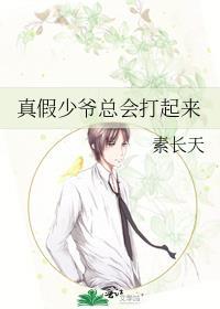 真假少爷文