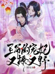 王爷的宠妃刚好遇见你免费读