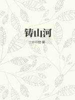 重生南宋之重铸山河