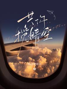 共你揽晴空原著叫什么名字