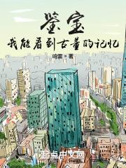 鉴宝我能看到古董的记忆txt奇书网