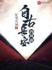 自古长安西风雨txt