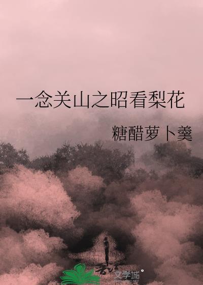 一念关山雷电网电视剧免费观看