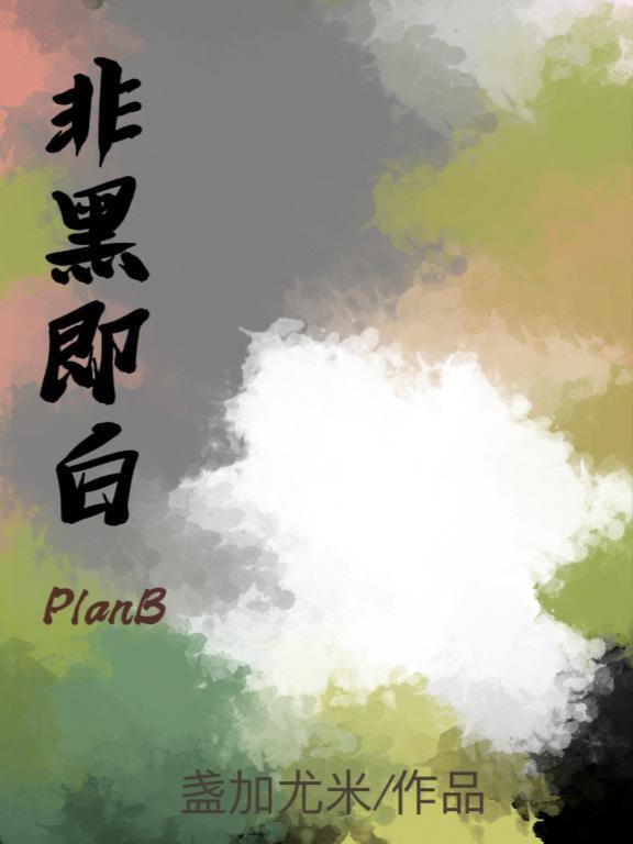 非黑即白planB