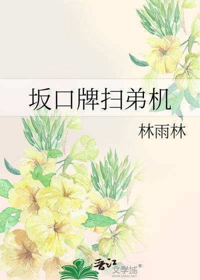 坂口牌扫弟机笔趣阁