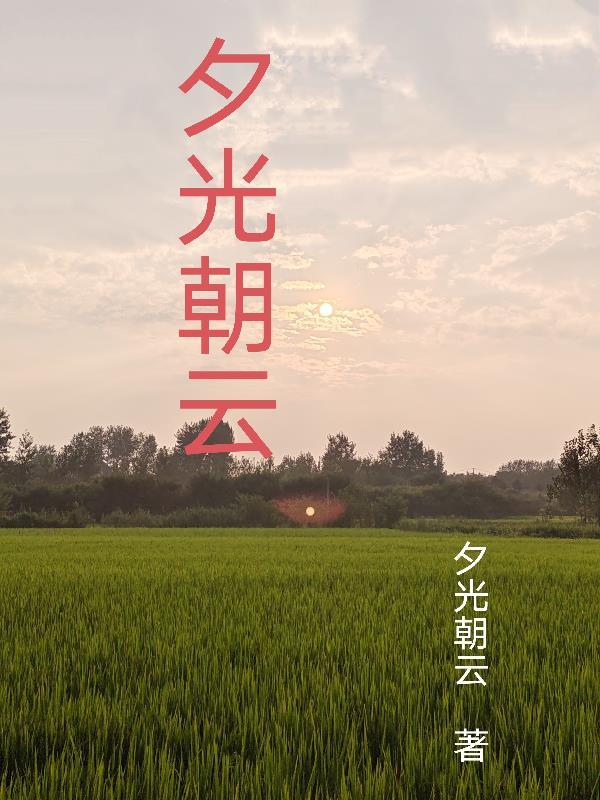 朝夕光年是什么公司