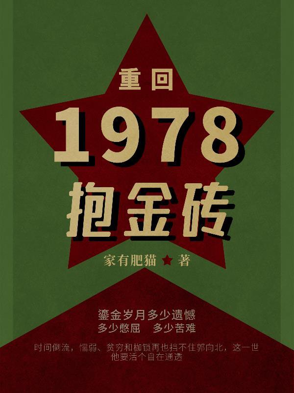 重回我的1978