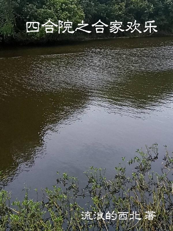 四合院之合家欢乐作者流浪的西北