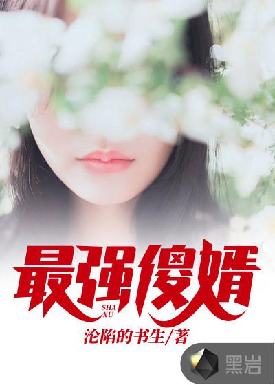 最强傻婿女主几个