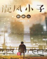 旋风小子3百科