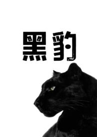 黑豹(1v1兽人h)最新