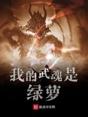 我的武魂是魂环简介