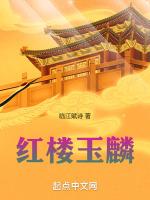 红楼玉麟在线阅读