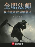 全职法师我的魔法数量能翻倍无错版