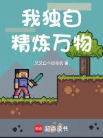 我独自精炼万物下一句