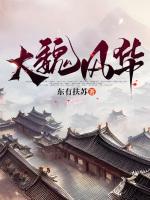 大魏风华录