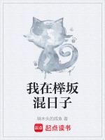 我就是混日子的