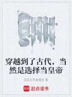 穿越到古代当皇上