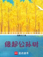 公孙述是谁的别称