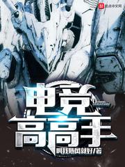 电竞高手之电竞英雄