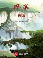 歌词谁伴我闯荡