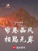 帘卷西风什么