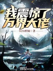 我震惊了大帝