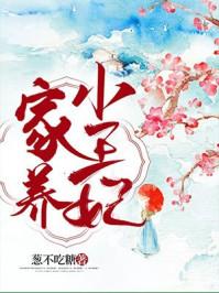 家养小王妃动漫