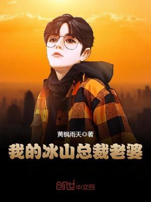 我的冰山总裁老婆叶雄集