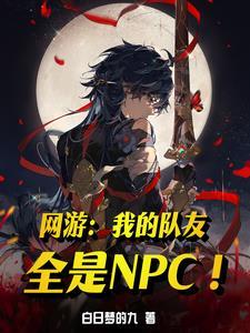 网游我的队友全是npc