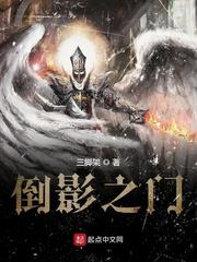 倒影之门txt三脚架