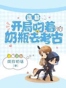 盗墓不小心成为九门独苗多少字
