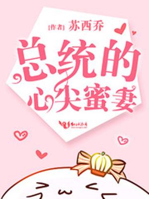 总统的心尖蜜妻未删减版